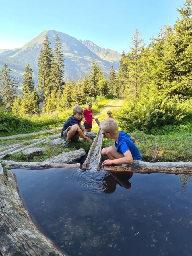 Brixnerhof Im Zillertal 호텔 쉴리테르스 외부 사진