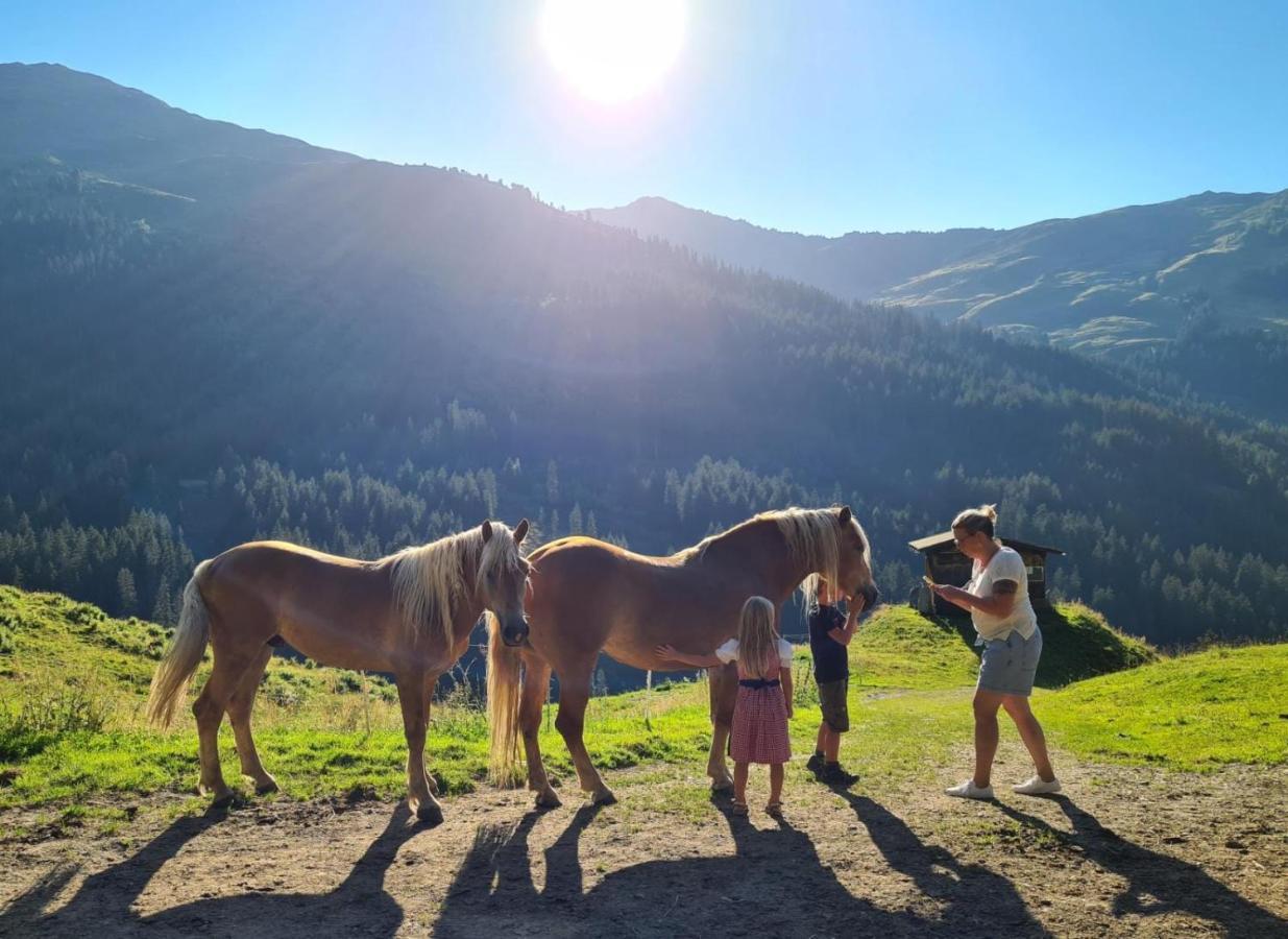 Brixnerhof Im Zillertal 호텔 쉴리테르스 외부 사진